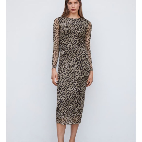 Mango Claude / Leopard print bodycon dress - Picture 8 of 17